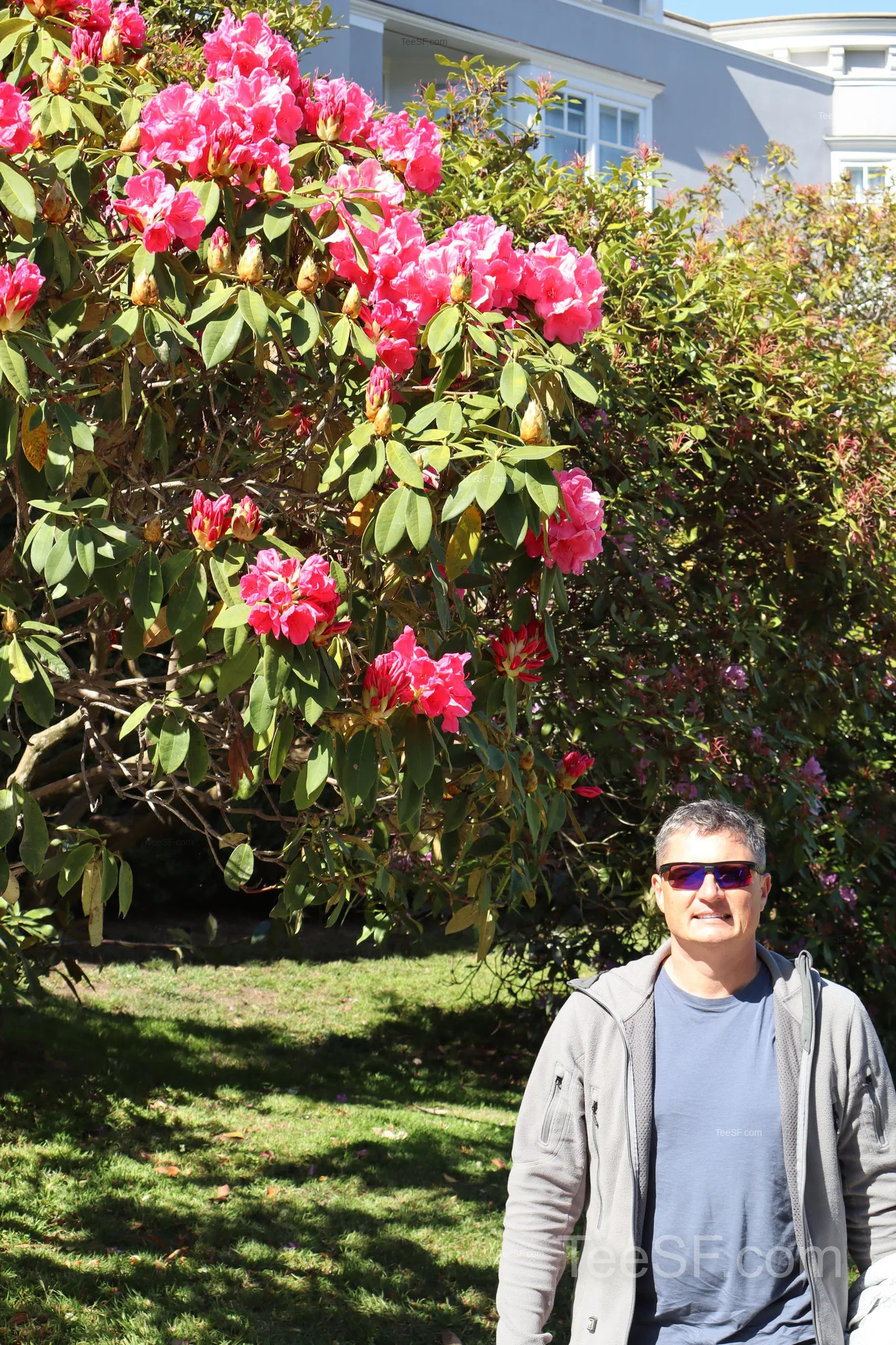 palace Lagoon And Flowers during a Stripe Sessions 2026 visit in San Francisco.